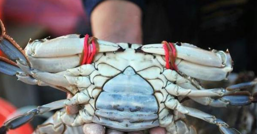 1624497272156273.png 微信图片_20210622190723.png